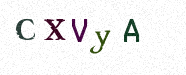 Visual Confirmation Security Code